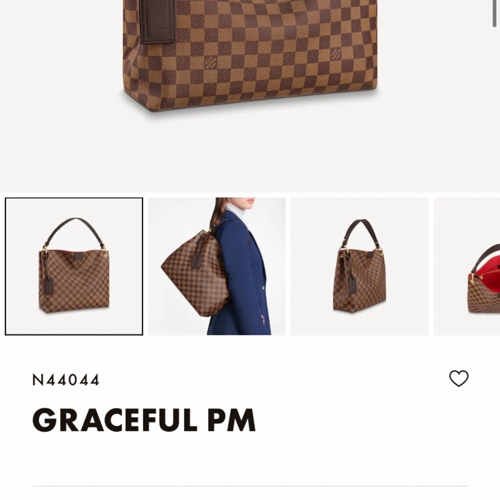 Brand new Louis Vuitton bag with dust bag